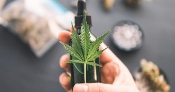 Comment cultiver du CBD en France ?